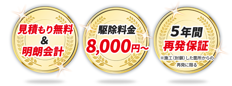 見積もり無料＆明朗会計 駆除料金8,000円～ 5年間再発保証