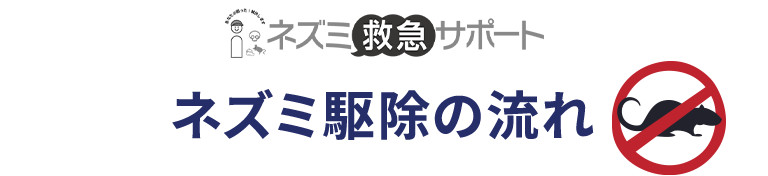 ネズミ駆除の流れ
